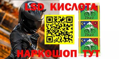 стаф Краснодар