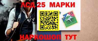 стаф Краснодар