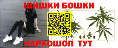 стаф Краснодар
