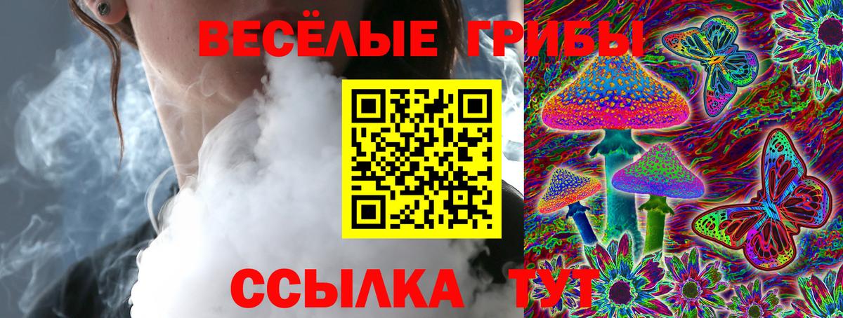 Галлюциногенные грибы Magic Shrooms Зима