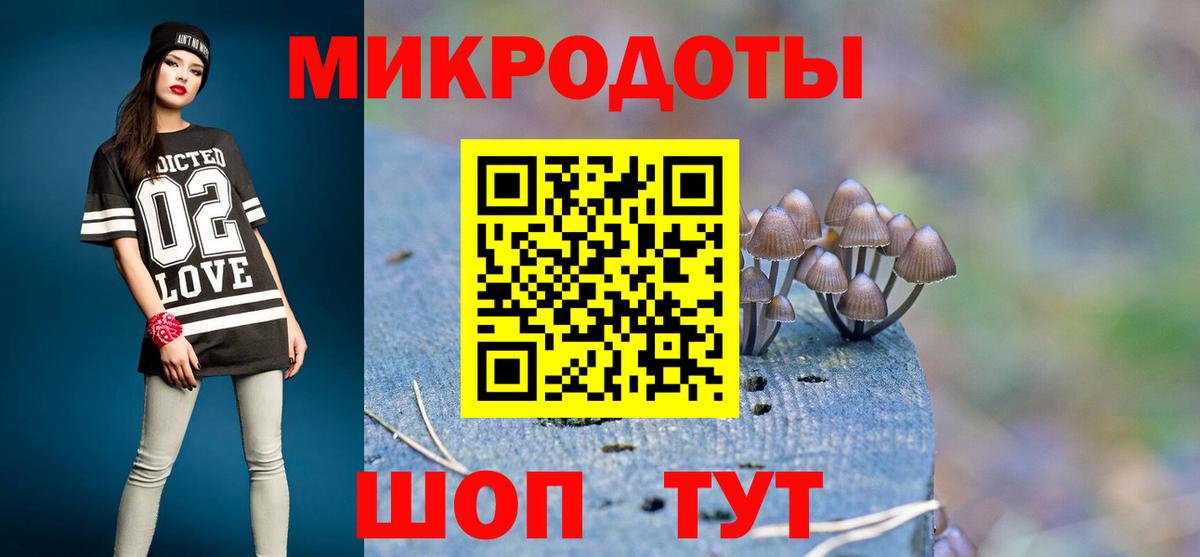 Зима  Псилоцибиновые грибы прущие грибы  Вход с VPN 